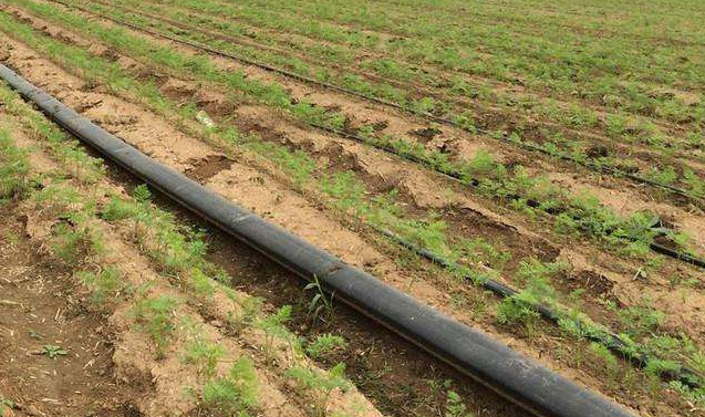 朝日農莊農田灌溉工程案例